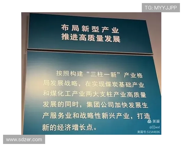 江西企业家创新引领下的新兴产业发展与社会责任担当探索